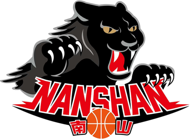 新北市南山高中隊(duì)
